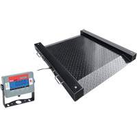 Floor Scales