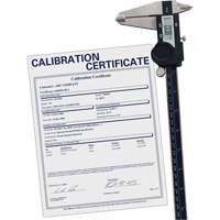 Digital Caliper with Traceable Certificate, 0.0005" (0.01 mm) Resolution, 0" - 12" (0 mm - 300 mm) Range Canadian Safety Group Inc.