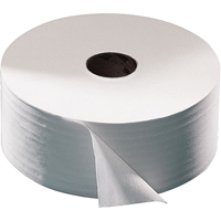 Advanced Toilet Paper, Jumbo Roll, 2 Ply, 751' Length, White Canadian Safety Group Inc.