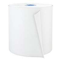 Pro Perform Roll Hand Towels, 1 Ply, Standard, 775' L Canadian Safety Group Inc.