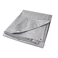 Tarp, Super Heavy-Duty, Silver, 10' x 8' x 12 mils Canadian Safety Group Inc.