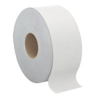 Pro Select Toilet Paper, Jumbo Roll, 2 Ply, 500' Length, White Canadian Safety Group Inc.