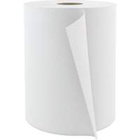 Pro Select Hardwound Hand Towels, 1 Ply, Standard, 600' L Canadian Safety Group Inc.