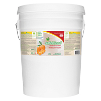 Nettoyant neutre, 20 L, Seau Canadian Safety Group Inc.
