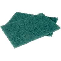 Scotch-Brite Hand Pads, Scrubbing, 6" W x 9" L Canadian Safety Group Inc.