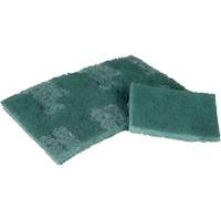 Tampon de r&eacute;curage, 3" lo x 4-1/2" la Canadian Safety Group Inc.