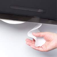 Cored JRT Combo Unit Toilet Paper Dispenser, Multiple Roll Capacity Canadian Safety Group Inc.