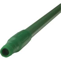 Manche, Balai/Grattoir/Raclette, Vert, Standard, 59" lo Canadian Safety Group Inc.