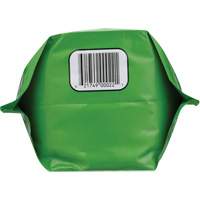 Nettoyant pour les mains biod&eacute;gradable, Poudre, 4,5 lb, Pochette, Sans parfum Canadian Safety Group Inc.