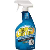 Mold and Mildew Spray, 650 ml, Trigger Bottle Canadian Safety Group Inc.