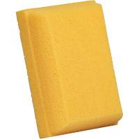 &eacute;ponge &agrave; coulis, Coulis, 5" la x 7" l Canadian Safety Group Inc.