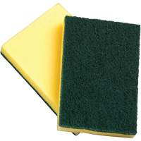 Sponges with Scouring Pad, Scrubbing, 4" W x 6" L Canadian Safety Group Inc.