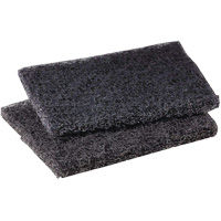 Tampon de polissage pour plaque de cuisson Scotch-Brite, 4" lo x 5" la Canadian Safety Group Inc.