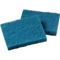 Non-Stick Cookware Cleaning Pad, Scrubbing, 5-1/4" W x 4" L Canadian Safety Group Inc.