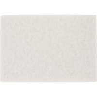 Tampon pour planchers TopLine Speed, 14" x 20", Lustrage/Nettoyage/Polissage, Blanc Canadian Safety Group Inc.
