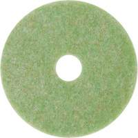 Tampon de m&eacute;lange naturel, 12", &agrave; r&eacute;curer, Vert Canadian Safety Group Inc.