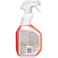 Nettoyant d&eacute;sinfectant contre les taches et odeurs biologiques, 946 ml, Bouteille &agrave; g&acirc;chette Canadian Safety Group Inc.
