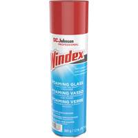 Nettoyant moussant pour vitres Windex, 560 g, Canette a&eacute;rosol Canadian Safety Group Inc.
