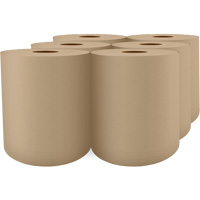 Pro Select&reg; High-Capacity Paper Towel, 1 Ply, Standard, 1000' L Canadian Safety Group Inc.