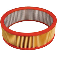 Antimicrobial Vacuum Secondary Filter, Hepa Canadian Safety Group Inc.