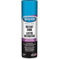 Pro Line Instant Shine for Plastic Surfaces, 11 oz., Aerosol Can Canadian Safety Group Inc.