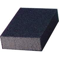 Sanding Sponge Canadian Safety Group Inc.