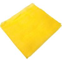 Chiffon collant StainPro Canadian Safety Group Inc.