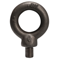 Machinery Eye Bolts, 5/8" Dia., 1-3/4" L, Uncoated Natural Finish, 4000 lbs. (2 tons) Capacity Canadian Safety Group Inc.
