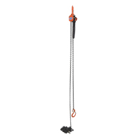 Mini Lever Hoist, 15' Lift, 1000 lbs. (0.5 tons) Capacity, Steel Chain Canadian Safety Group Inc.