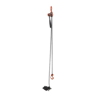 Mini Lever Hoist, 20' Lift, 1000 lbs. (0.5 tons) Capacity, Steel Chain Canadian Safety Group Inc.
