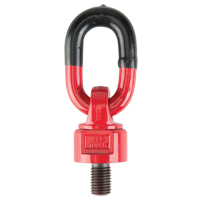 Anneaux de treuil de levage pivotant, M30, Longueur du filetage 50 mm, Acier alli&eacute; Canadian Safety Group Inc.