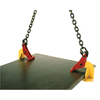 Pinces de levage