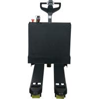 Fully Powered Electric Pallet Truck, 4500 lbs. Cap., 48" L x 30.25" W Canadian Safety Group Inc.