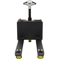 Fully Powered Electric Pallet Truck With  Scale, 3300 lbs. Cap., 48" L x 28.25" W Canadian Safety Group Inc.