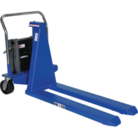 Electric Skid Lift, Steel, 2500 lbs. Capacity Canadian Safety Group Inc.