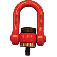 Lifting Hoist Rings