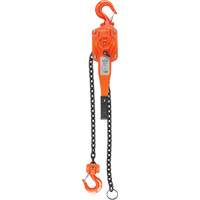 Lever Hoist, 10' Lift, 1500 lbs. (0.75 tons) Capacity, Alloy Steel Chain Canadian Safety Group Inc.