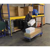 Platform Cart, 48" L x 24" W, 1500 lbs. Capacity, Mold-on Rubber Casters Canadian Safety Group Inc.