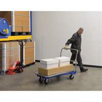 Platform Cart, 48" L x 24" W, 1500 lbs. Capacity, Mold-on Rubber Casters Canadian Safety Group Inc.