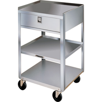 Stainless Steel Equipment Stands, 300 lbs. Capacity, Stainless Steel, 16-3/4" x W, 30-1/8" x H, 18-3/4" D, 1 Drawers Canadian Safety Group Inc.
