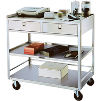 Stainless Steel Equipment Stands, 300 lbs. Capacity, Stainless Steel, 20"/20-1/8" x W, 35" x H, 37"/36-3/8" D, Knocked Down, 2 Drawers Canadian Safety Group Inc.