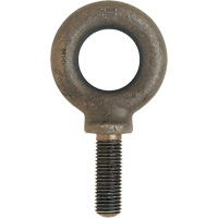 SAE Eyebolt, 1-1/4" Dia., 1-5/8" L, 3200 lbs. (1.6 tons) Capacity Canadian Safety Group Inc.