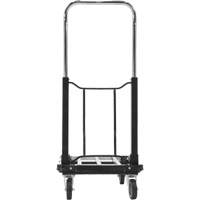 Fold-Up Platform Truck, Stainless Steel, 300 lbs., 28" L x 16" W, 33-1/2" High Canadian Safety Group Inc.