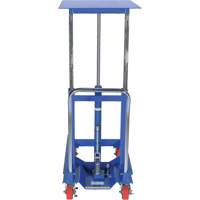 Lift Table, 30"L x 24"W, Steel, 2000 lbs. Capacity Canadian Safety Group Inc.