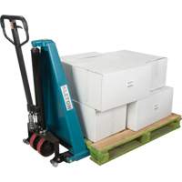 Manual Scissor Skid Lift, 45-1/4" L x 20-1/4" W, Steel, 3300 lbs. Capacity Canadian Safety Group Inc.