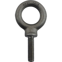 Alloy Steel Eye Bolt, 1" Dia., 1-1/4" L, 1480 lbs. (0.74 tons)/1480 lbs. Capacity Canadian Safety Group Inc.