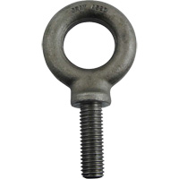Alloy Steel Eye Bolt, 1-3/8" Dia., 1-3/4" L, 4300 lbs./4300 lbs. (2.15 tons) Capacity Canadian Safety Group Inc.