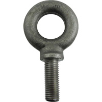 Alloy Steel Eye Bolt, 1-11/16" Dia., 2-1/4" L, 8800 lbs./8800 lbs. (4.4 tons) Capacity Canadian Safety Group Inc.