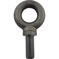 Alloy Steel Eye Bolt, 2-3/16" Dia., 3" L, 18400 lbs./18400 lbs. (9.2 tons) Capacity Canadian Safety Group Inc.