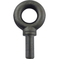 Alloy Steel Eye Bolt, 2-1/2" Dia., 3-1/2" L, 26600 lbs. (13.3 tons)/26600 lbs. Capacity Canadian Safety Group Inc.
